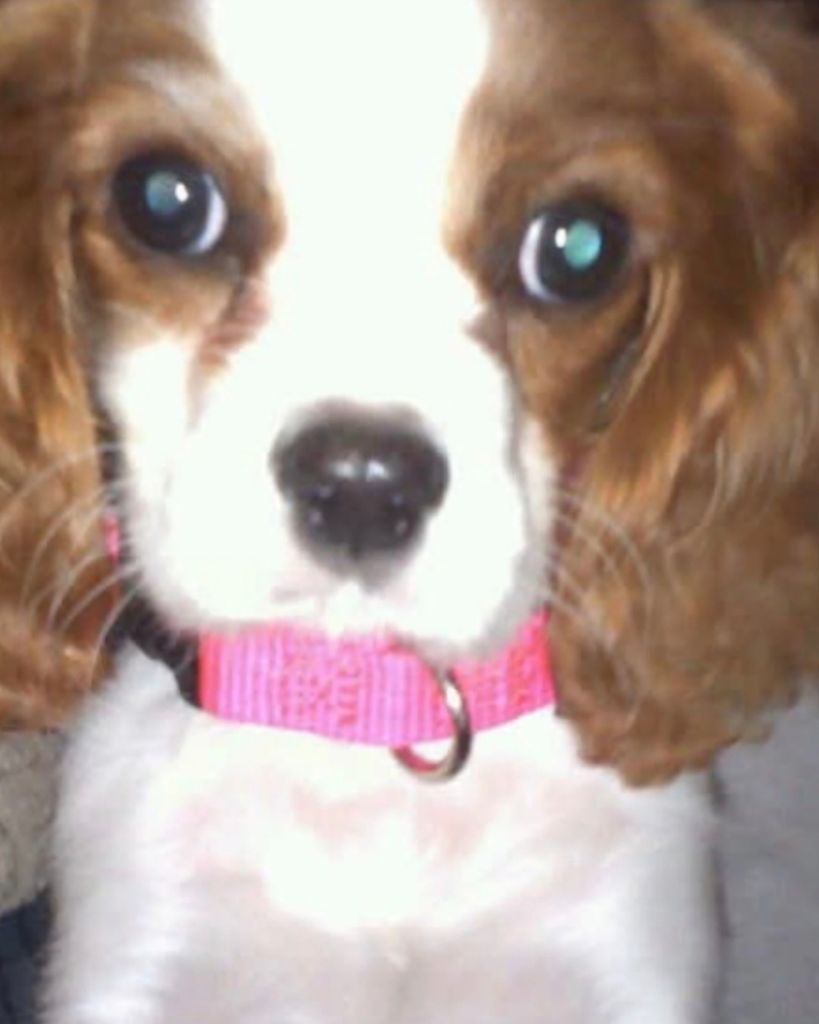 Lillian "Lily" May Burkey