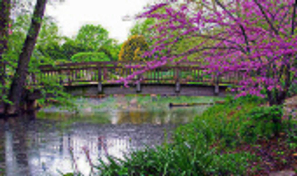 Louwilda Eileen Mcdonald