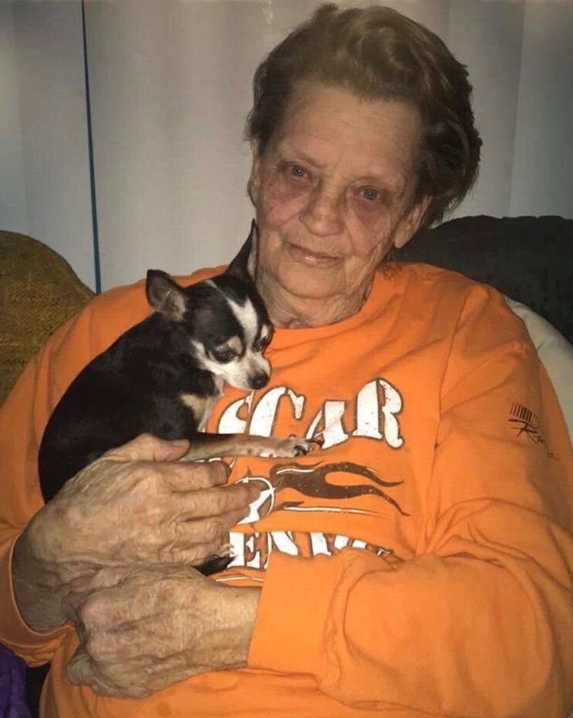 Shirley Ann Reed Profile Photo