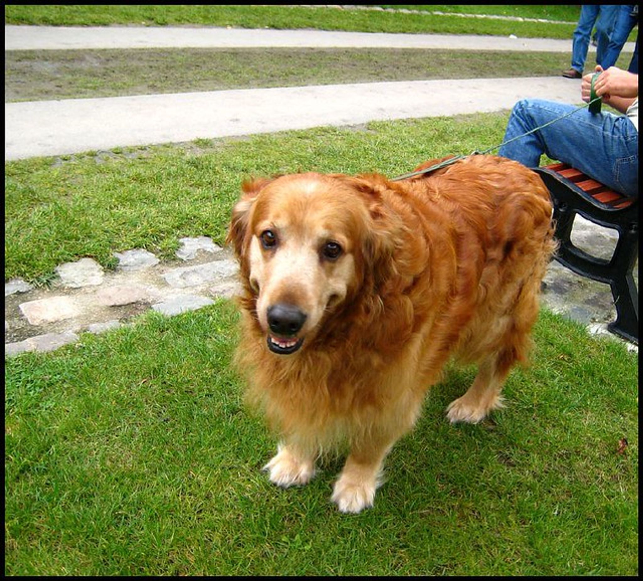 Cover photo for Carolyn "Carrie" Little's Obituary