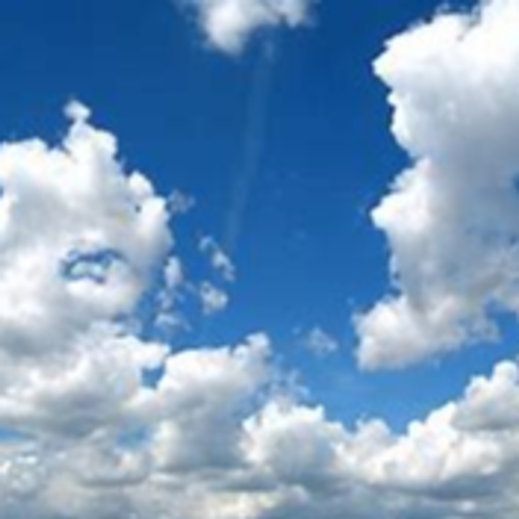 Robert Rice Profile Photo