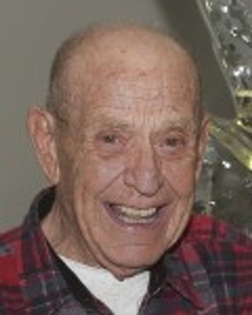 Douglas L. Despins
