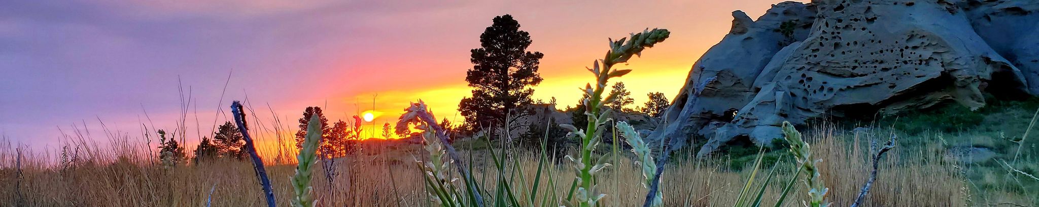 Cover for Rex McCord's Obituary