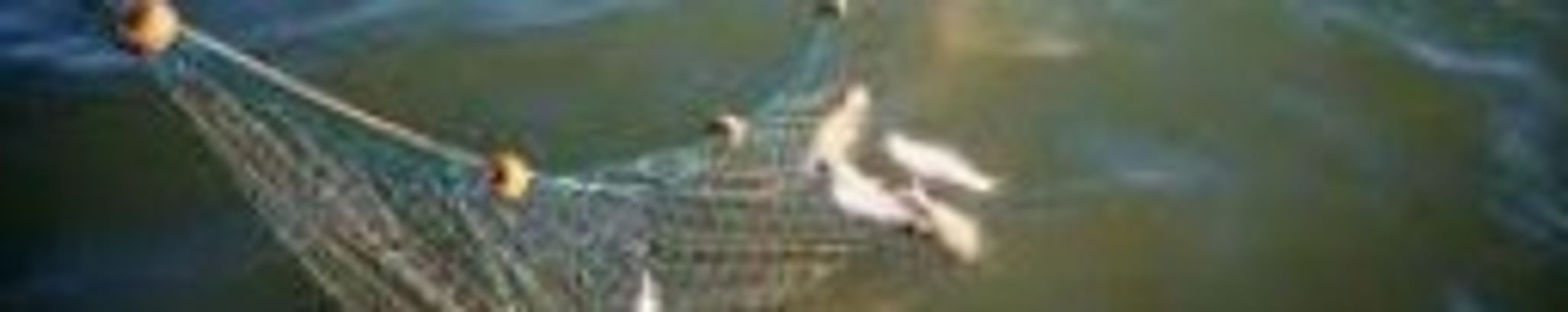 Cover for Antonio Buenano, Jr.'s Obituary