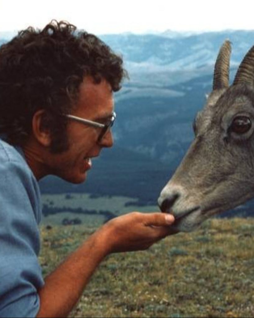 Larry Thorngren Profile Photo