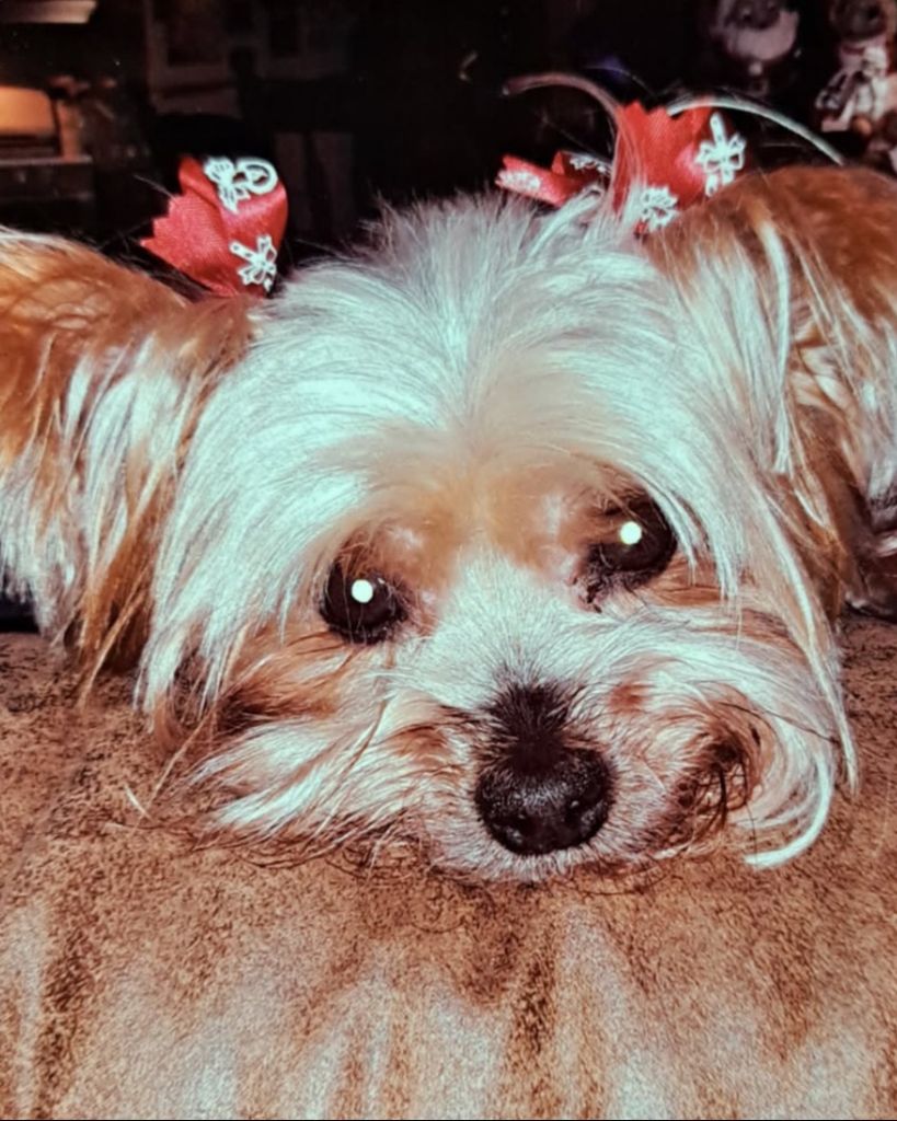 Kady Dunkle Profile Photo