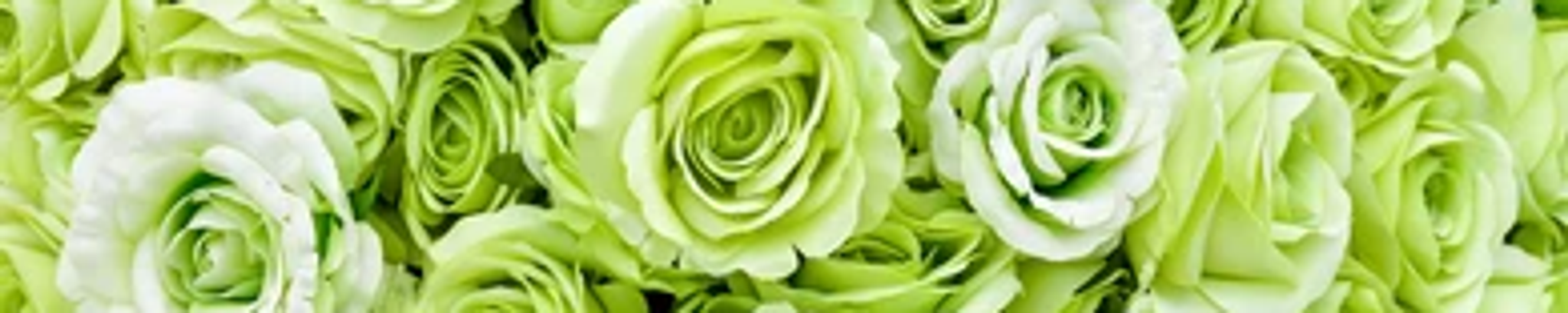 Cover for Elizabeth S. Adams's Obituary