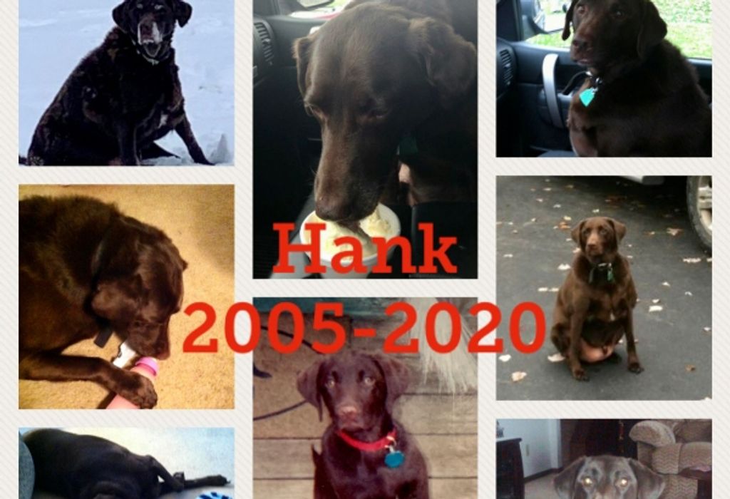 Hank Lynn