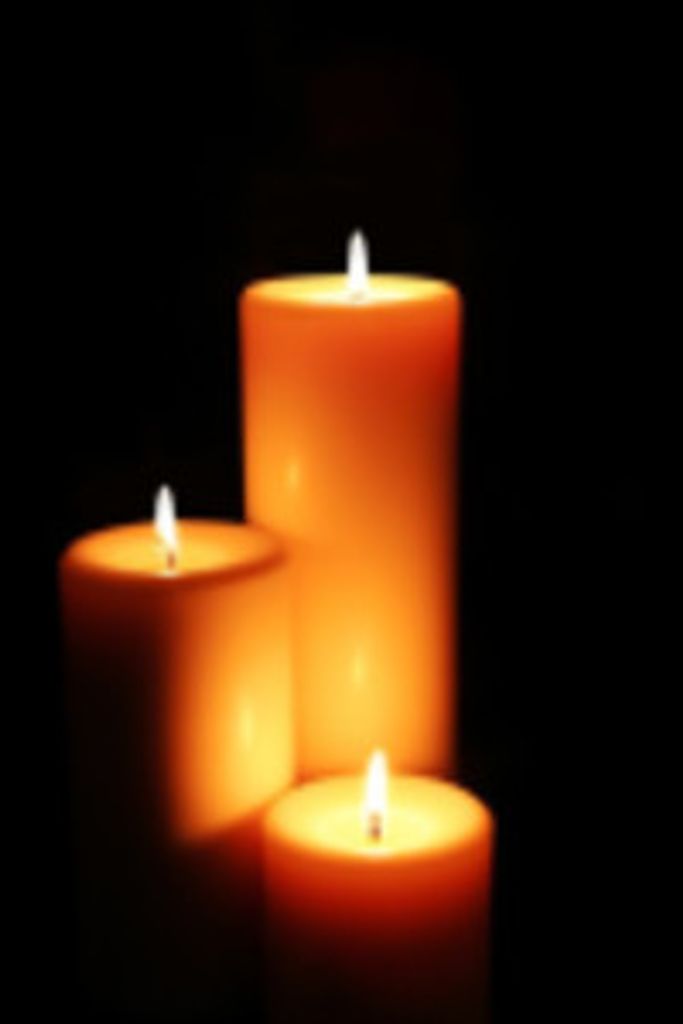 Gail Marie  Connors Profile Photo