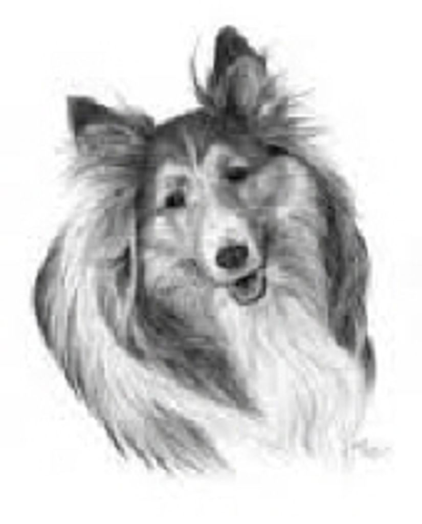 Astro Smith Profile Photo