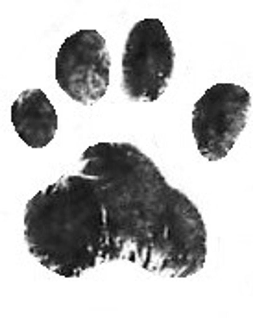 Stetson Medlin Profile Photo