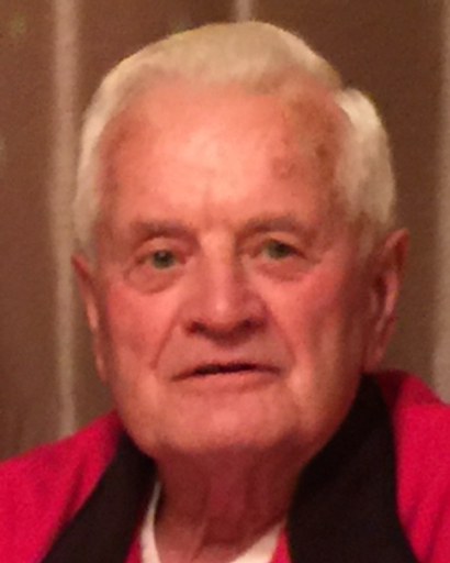 Leon A. Napert's obituary image