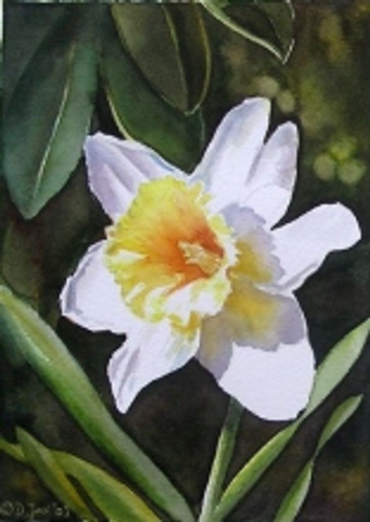 Veronica J. Stedingh