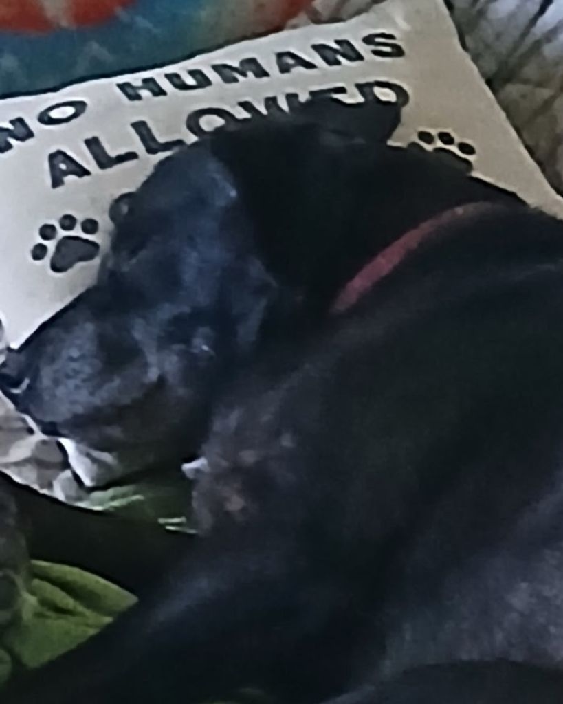 Bettie Vidal Profile Photo