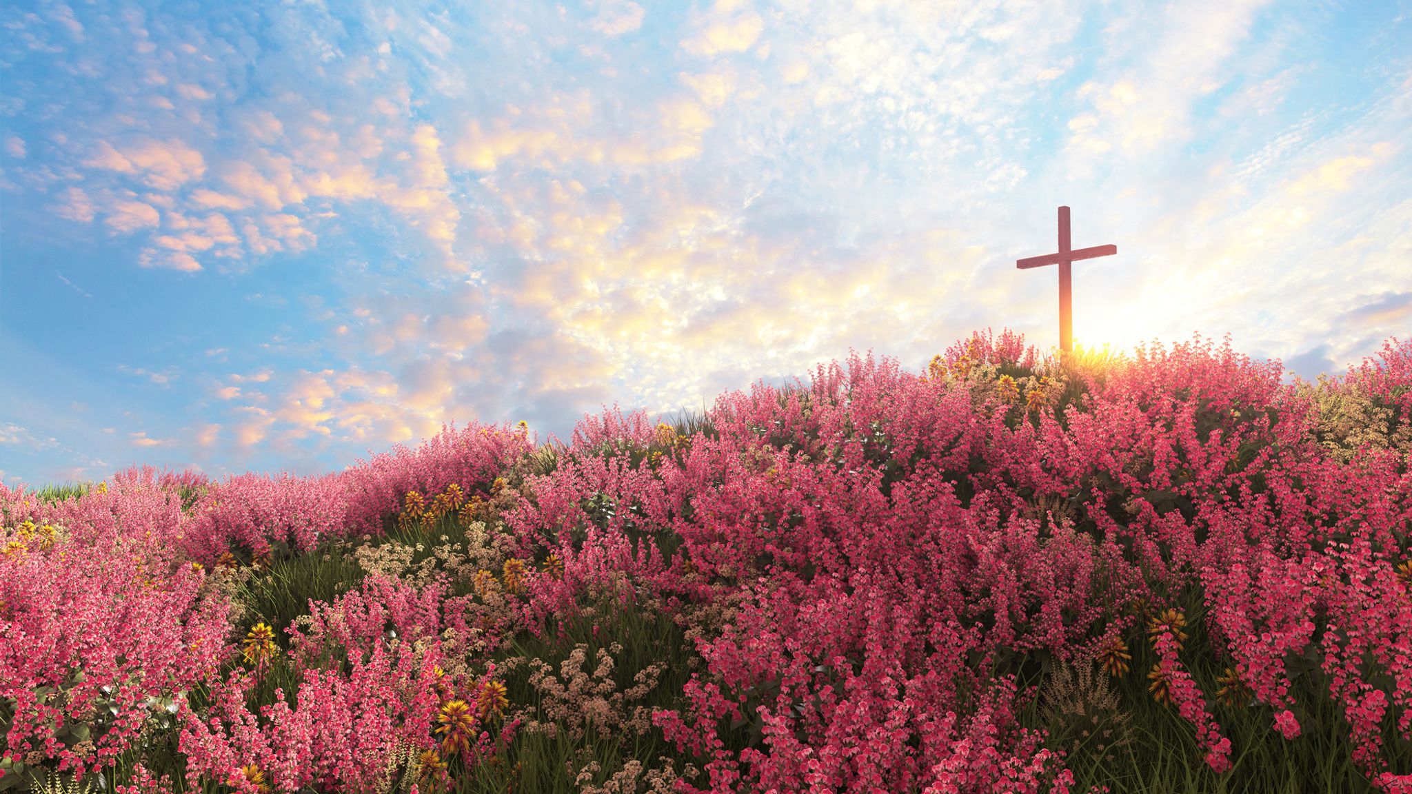 Cover photo for Lydia C. Ramirez's Obituary