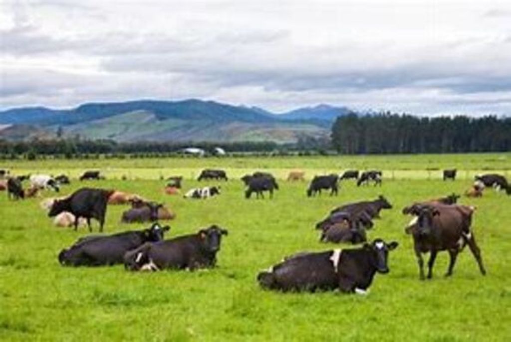 Mark Timothy Woods Profile Photo