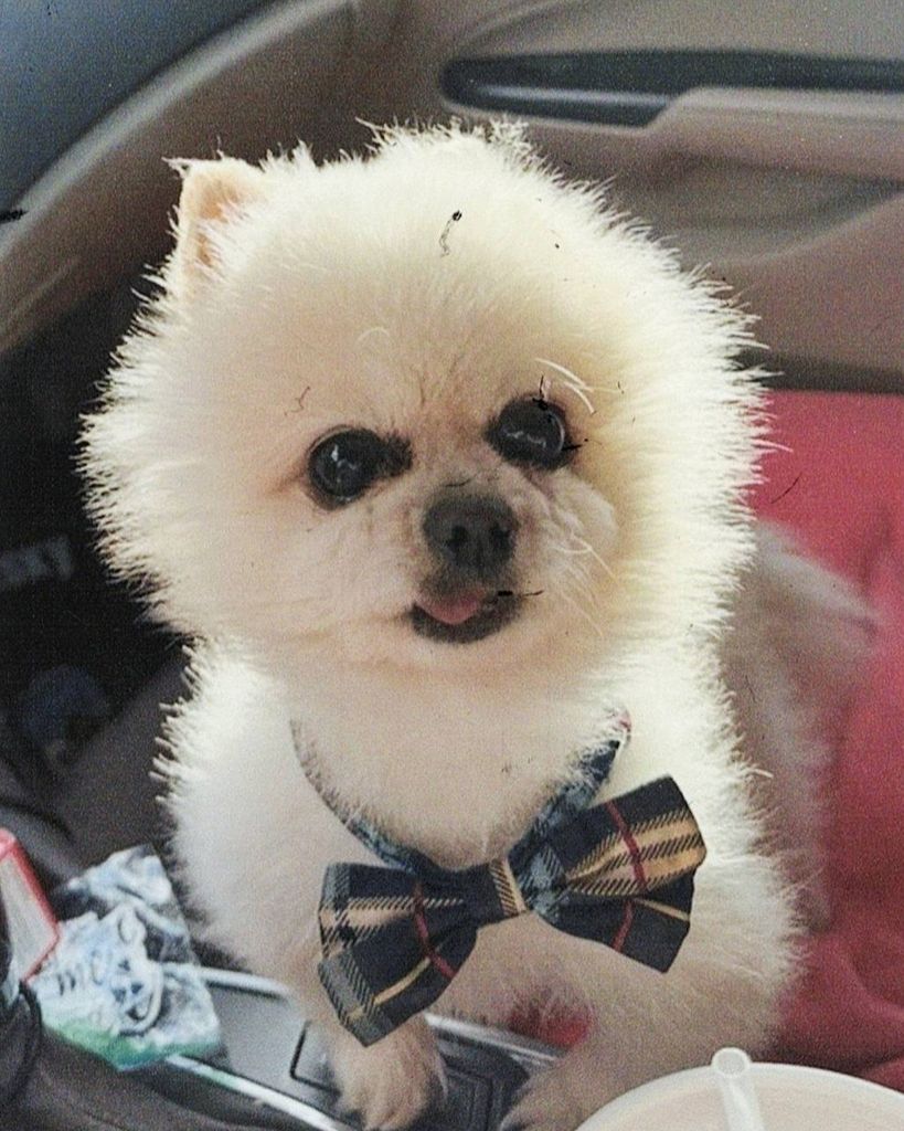 Jasper Salazar-Vasquez