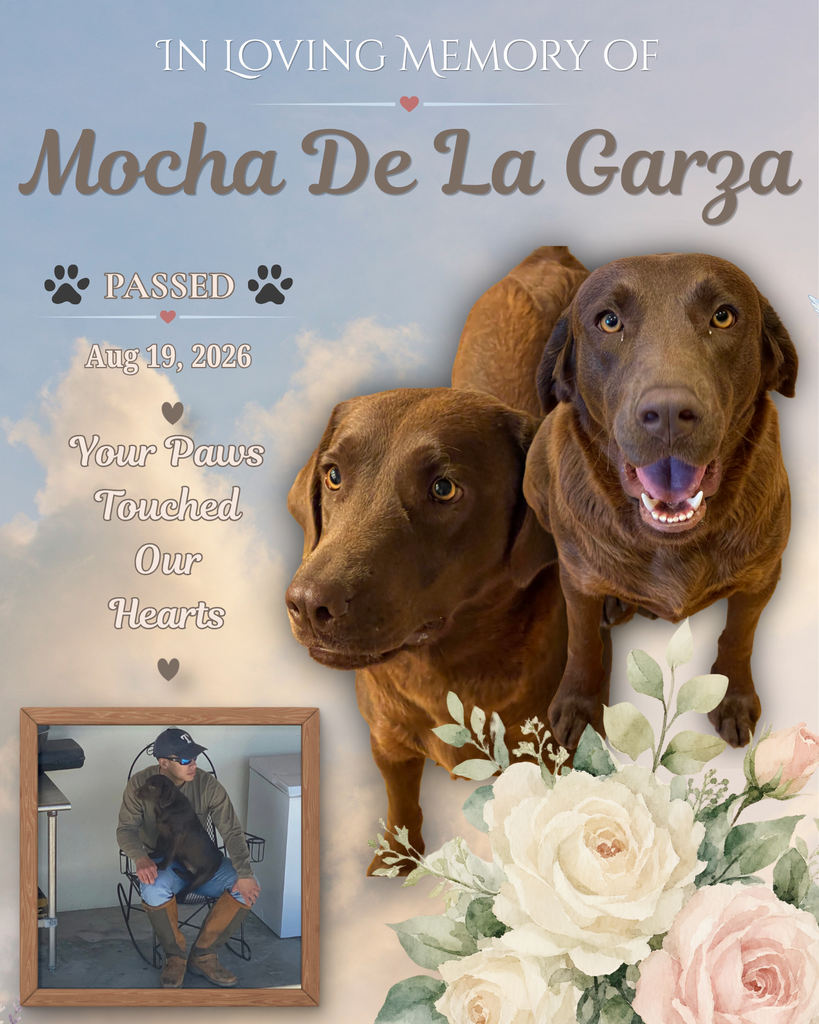 Mocha De La Garza Profile Photo