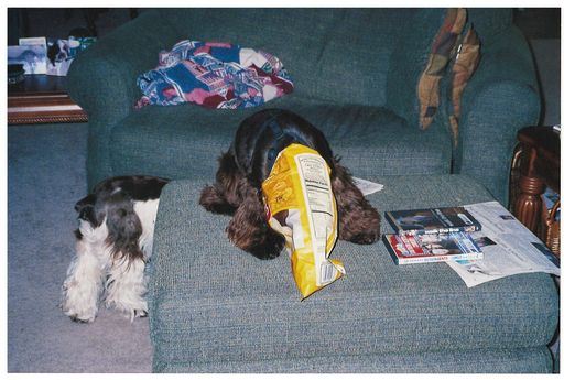 Gary L. Hall photo gallery thumbnail 248 of 354