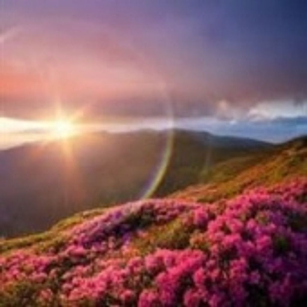 Lori Elizabeth Elensky