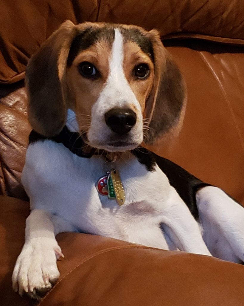 Toby Lehosit Profile Photo