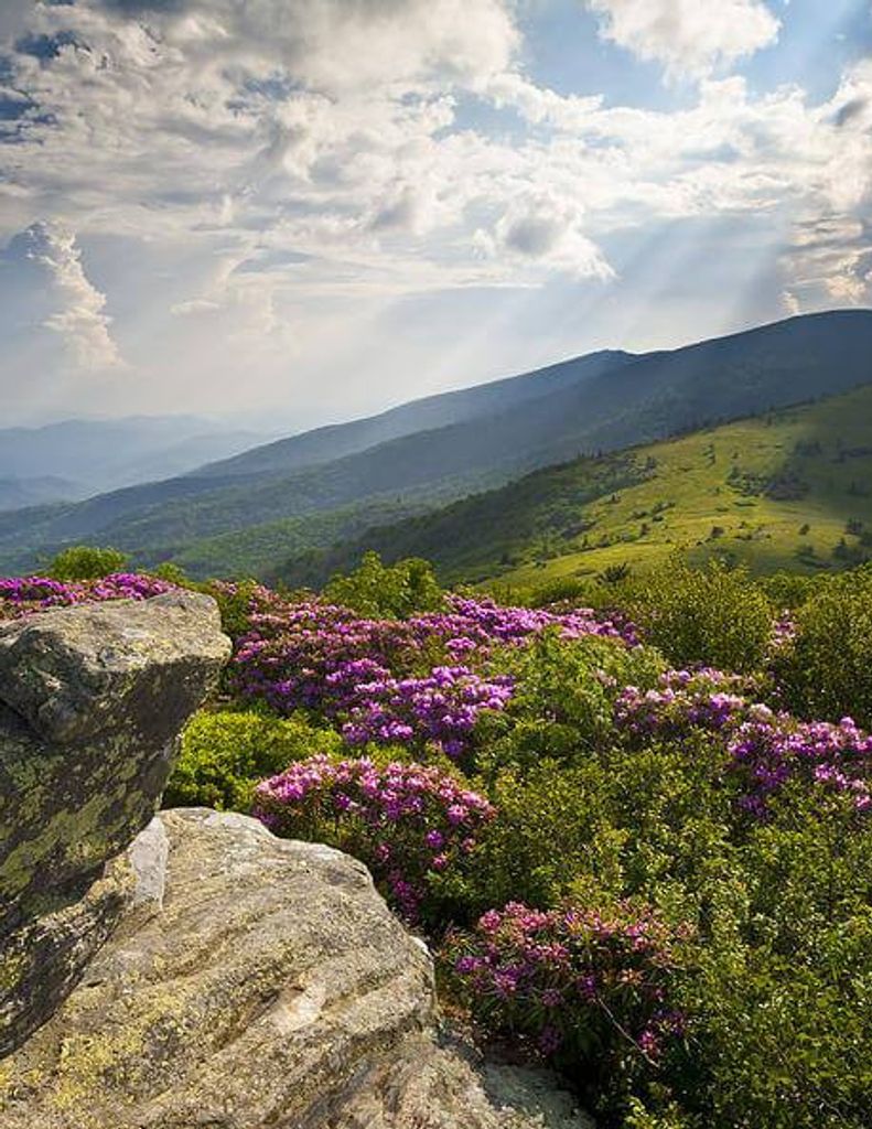 Christopher James Miller Profile Photo