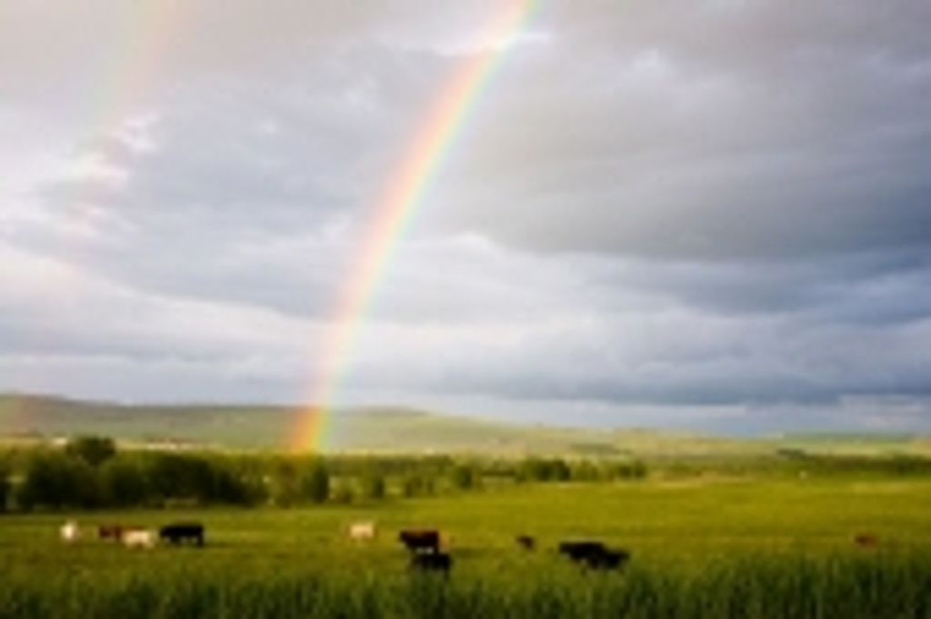 James Norman Wood Profile Photo