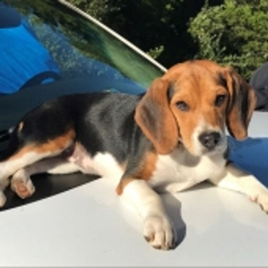 Eric Hall Profile Photo