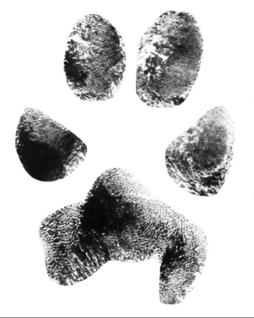 Rex Pope Profile Photo