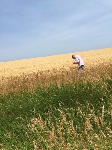 Christopher Quinn Conrad Profile Photo