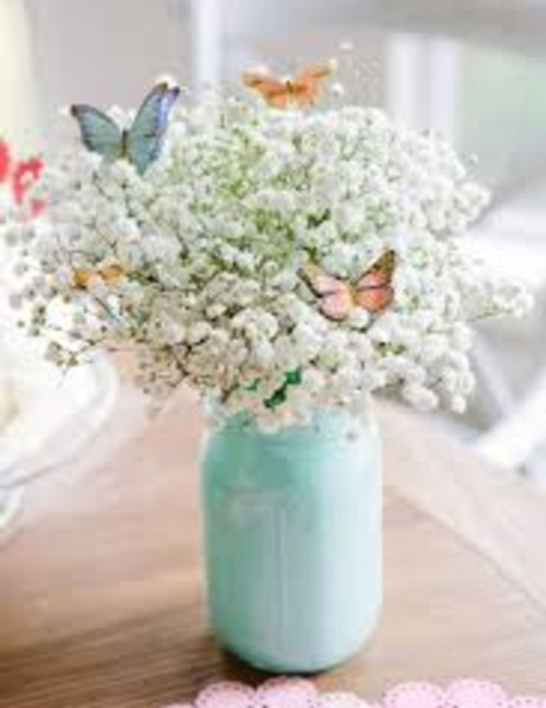 Nancy Cagliostro Ridley