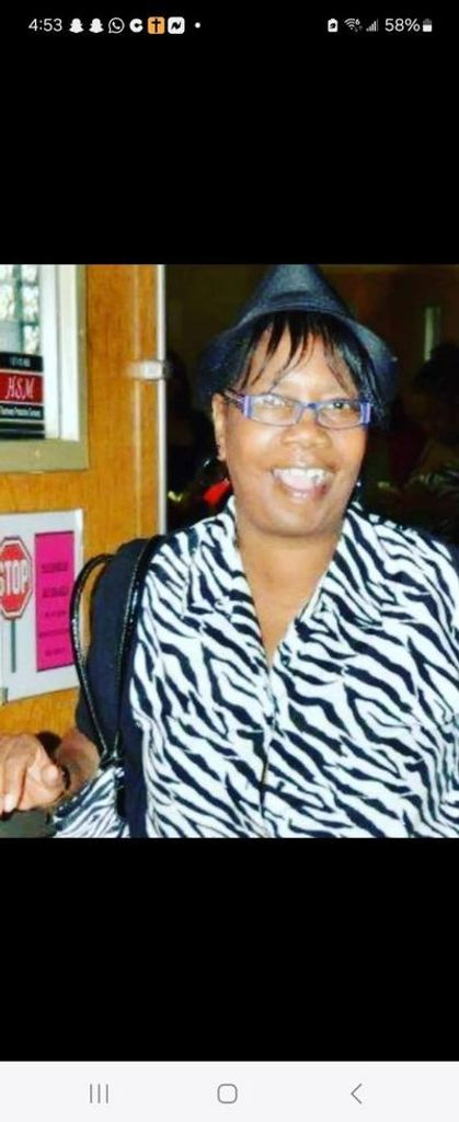 Chrysanthemum Walston