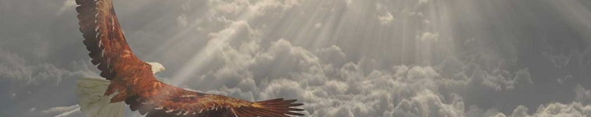 Cover photo for Ellason Castiglione's Obituary