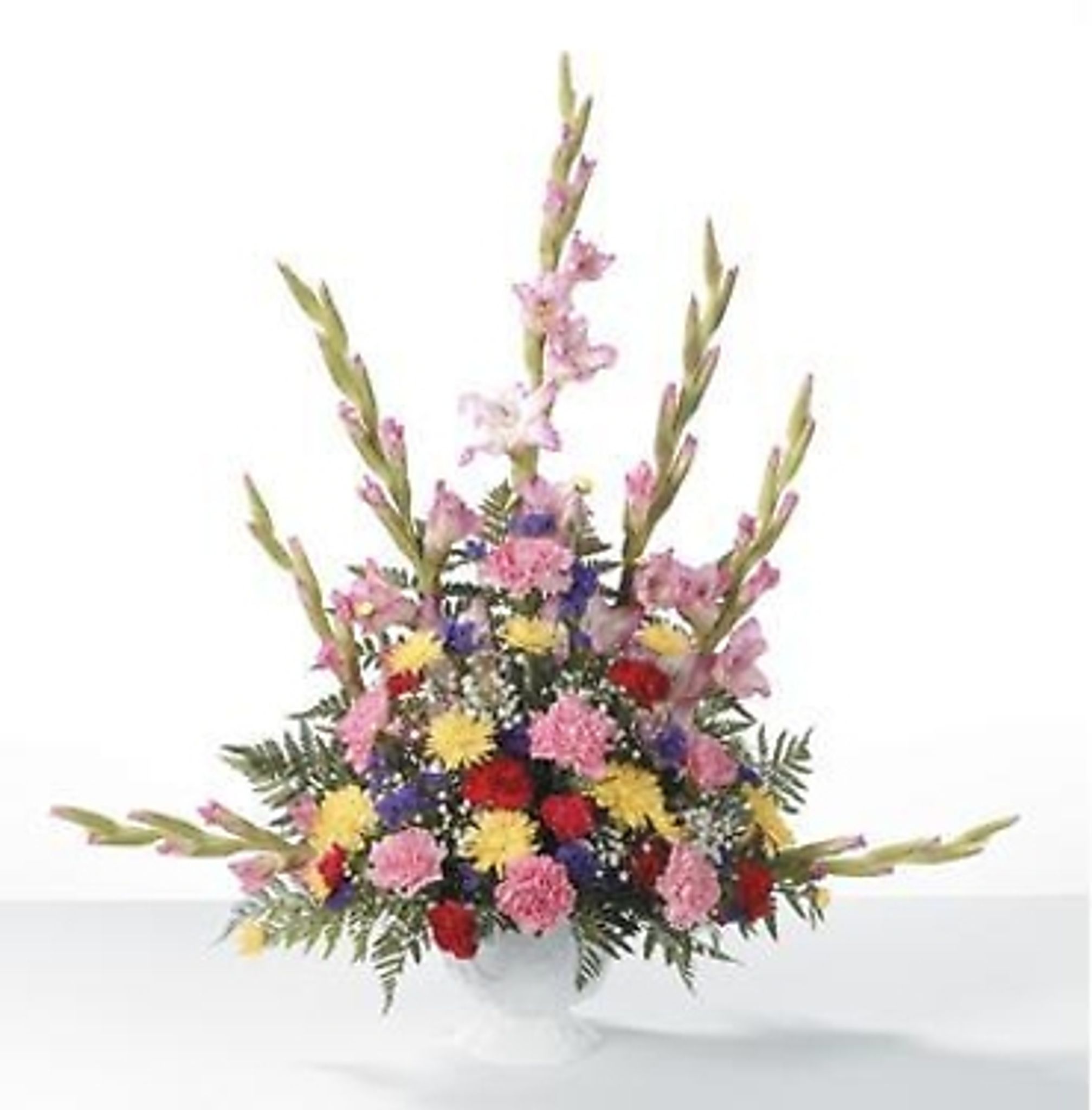 Mario Garcia – Sr. Cisne Mario Garcia – Sr. Cisne Mario Garcia | Access Lake Chapala