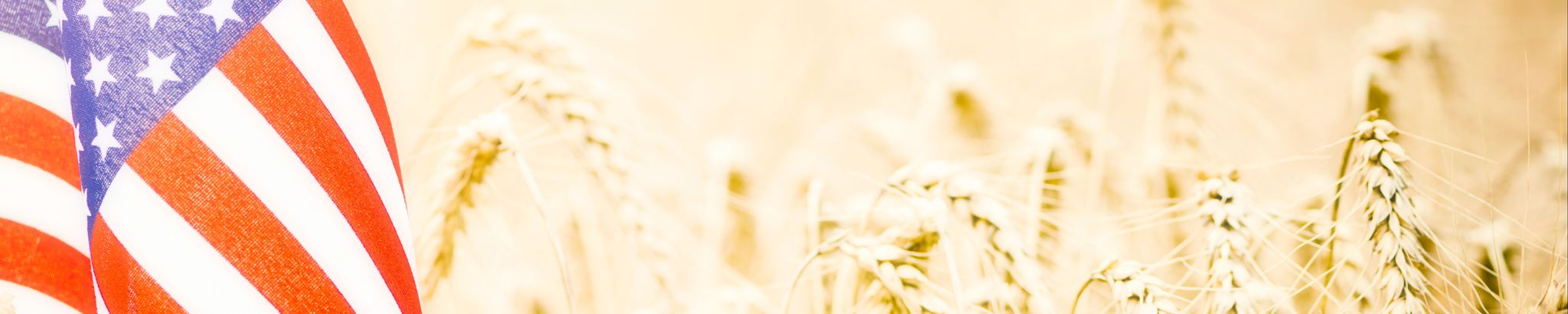 Cover for Anton Schweitzer's Obituary