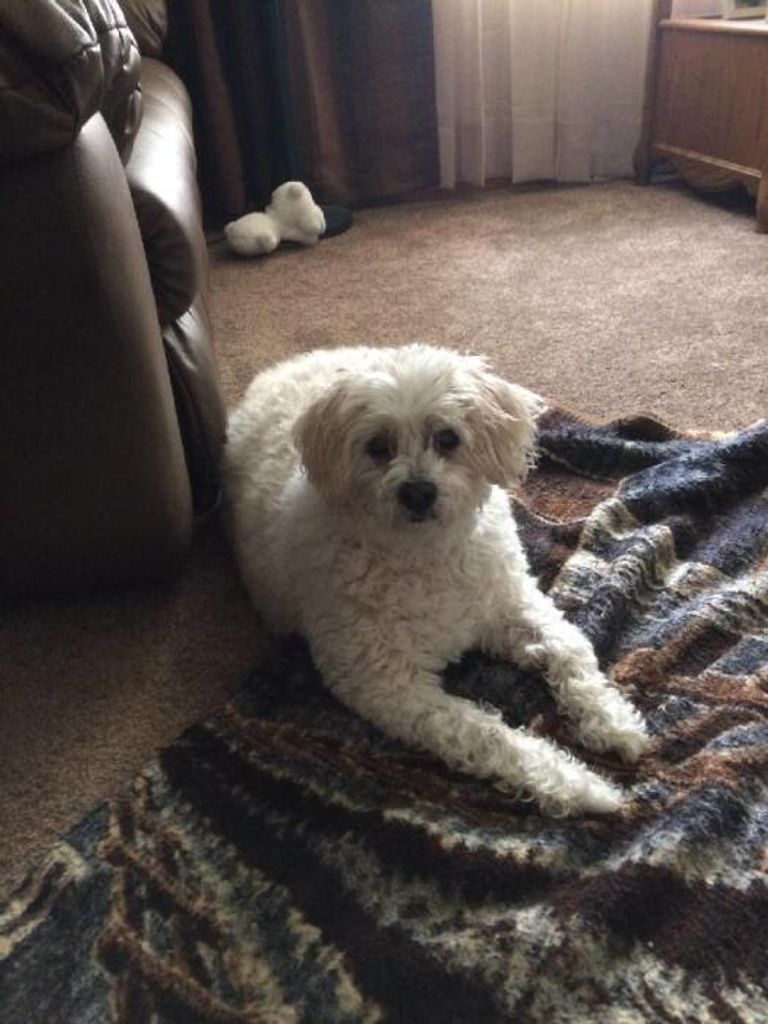 Abbey Profile Photo