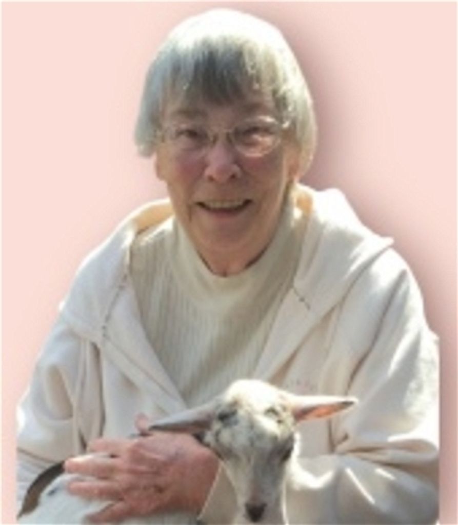 Nancy Ruggeri (Hegg) Profile Photo