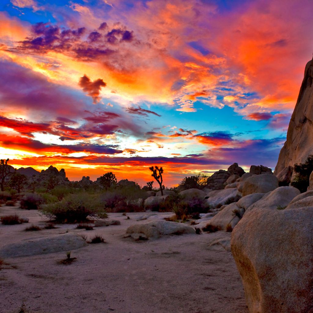 Linda Ann Peterson Profile Photo