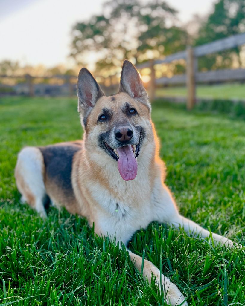 Bruno Wargo Profile Photo