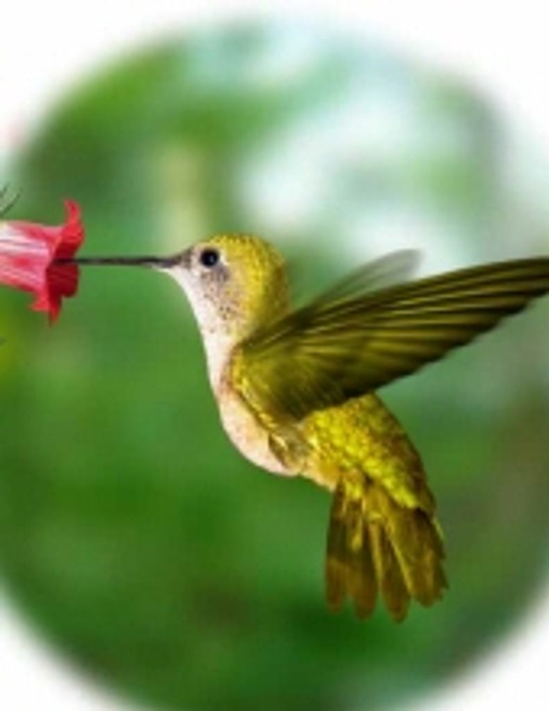 Barbara Jean Kibby -Glbfh