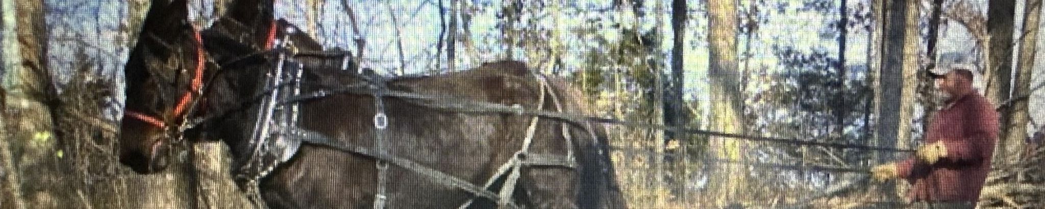 Cover photo for Stacey "Bubba" Lee Duke's Obituary