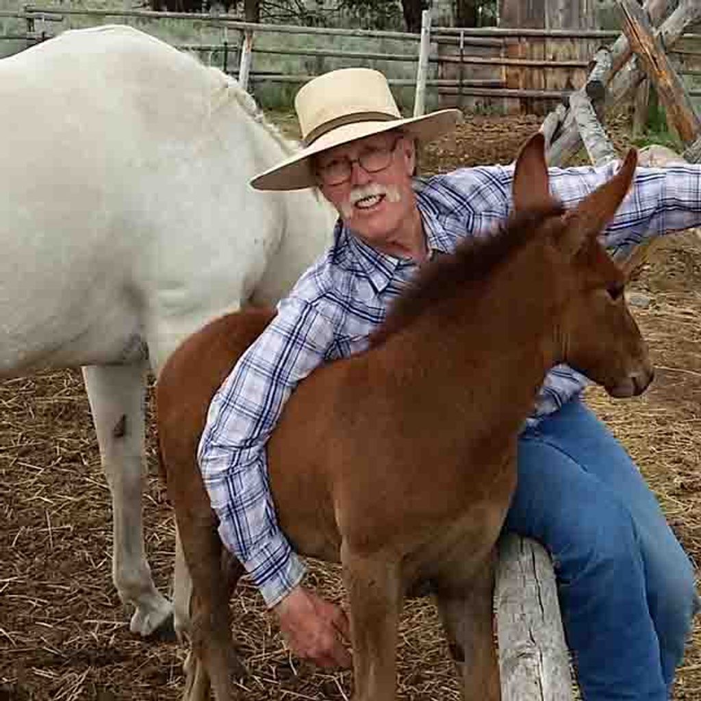 Steve G. Brawley Profile Photo