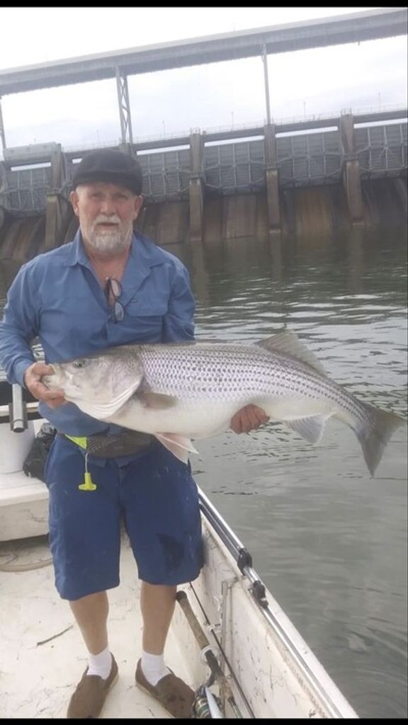 Kenneth Delano Miller