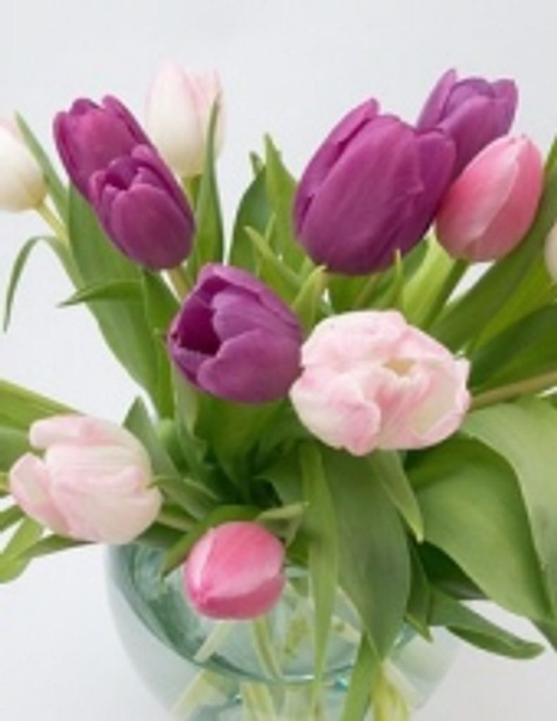 Joyce  Alejandrina Roberts