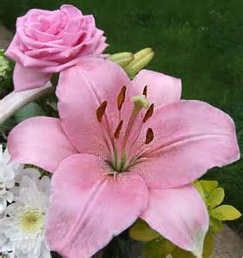 Gloria Andrus Brunet