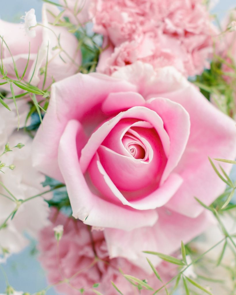 Barbara Ann Deaton Blanchard