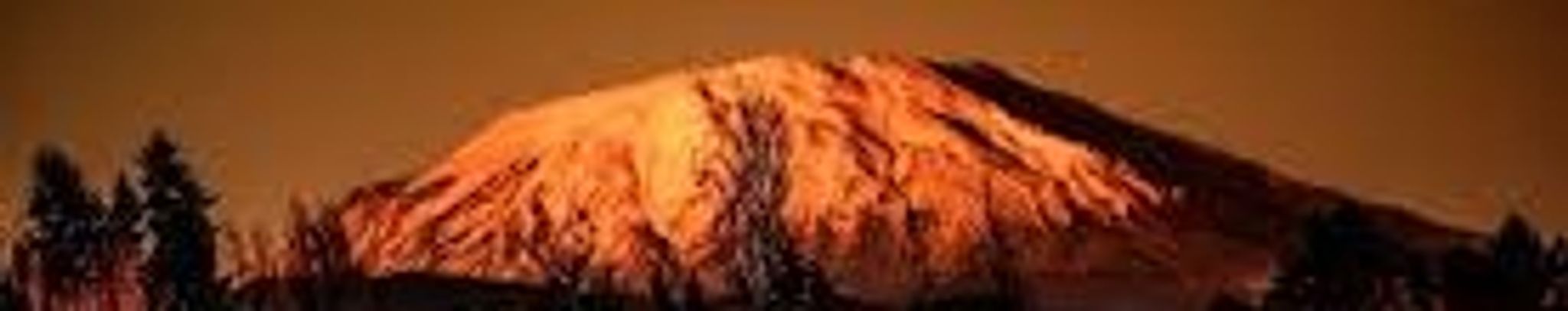 Cover for Ann Bell's Obituary