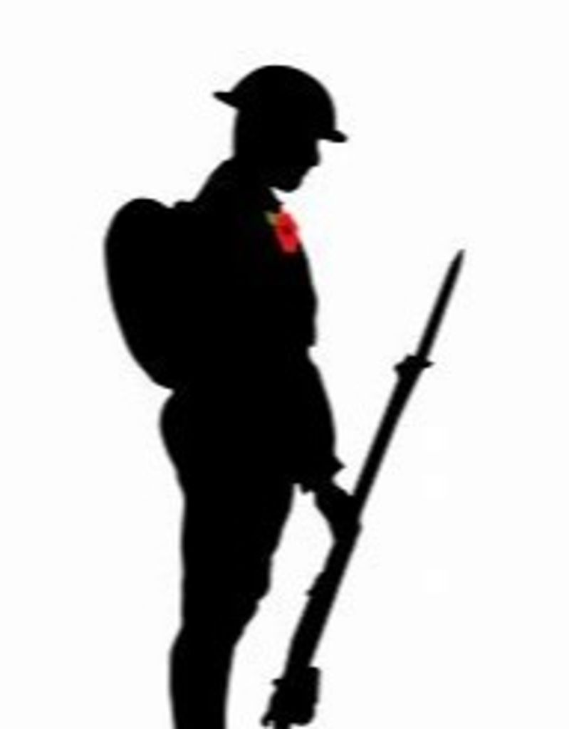 Veteran's Day 2022 We Will Remember Them
