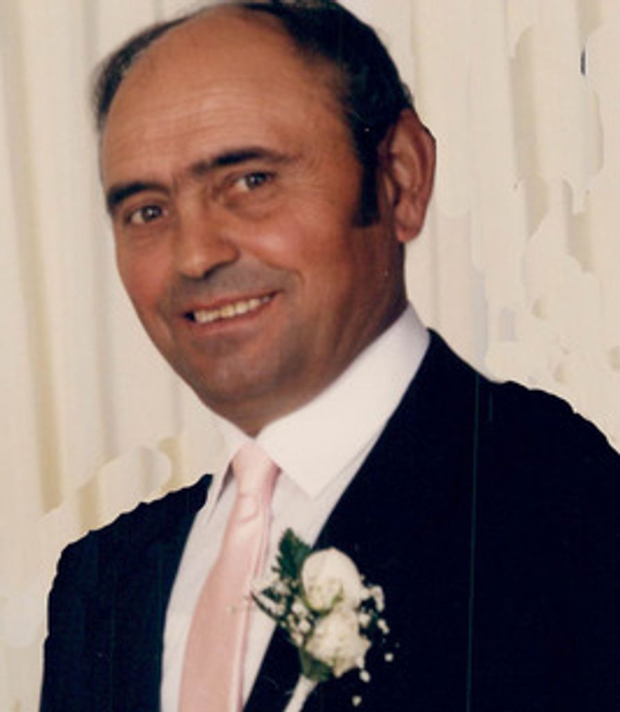 Lodino Di Vincenzo
