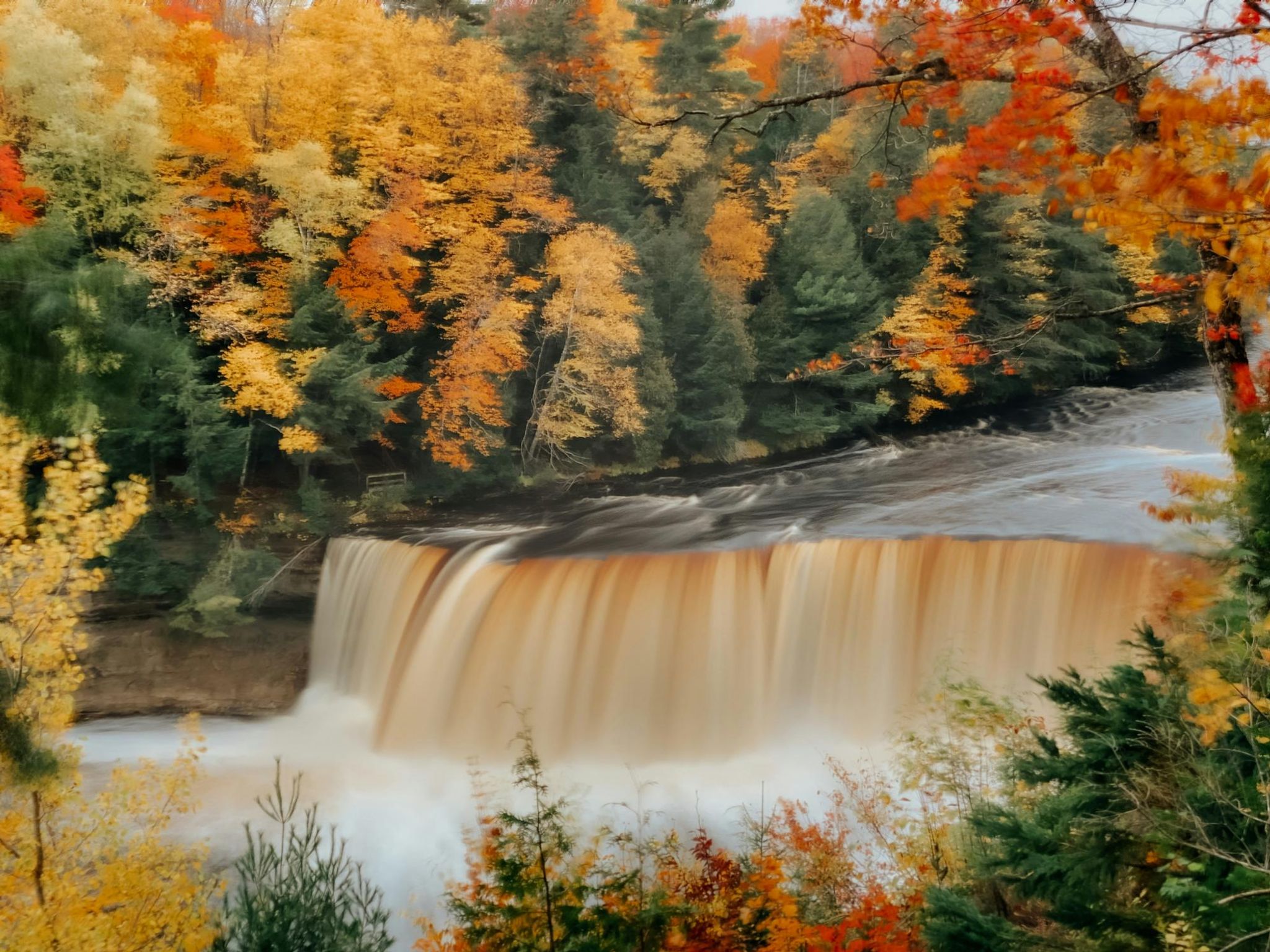 Cover for Carol Hartke's Obituary